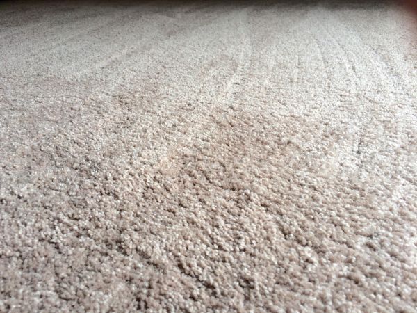 Plush Carpet Installation in Matthews